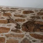 Prázdninový dům Petite Bergerie En Pierres Confort *