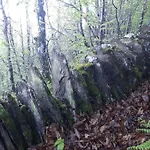 Prázdninový dům Petite Bergerie En Pierres Confort Salles-Curan