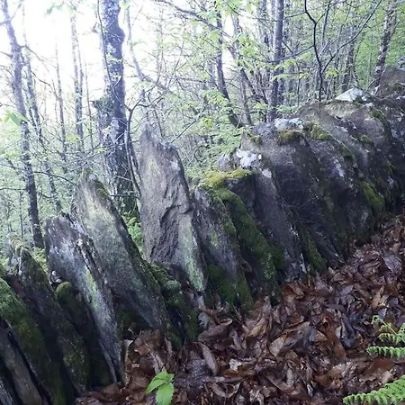 度假居 Petite Bergerie En Pierres Confort Salles-Curan