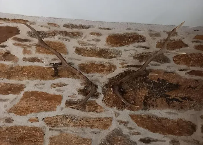 Casa de Férias Petite Bergerie En Pierres Confort *