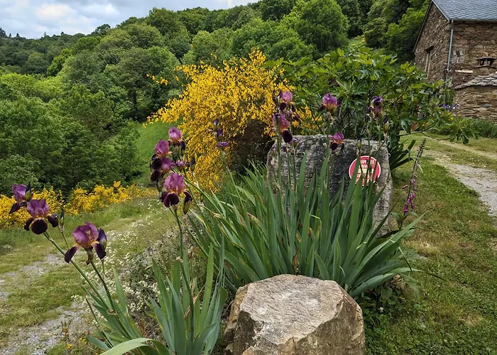 Petite Bergerie En Pierres Confort Casa de Férias *