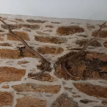 Feriehus Petite Bergerie En Pierres Confort *
