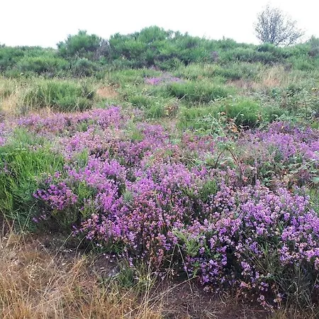 Petite Bergerie En Pierres Confort * Salles-Curan
