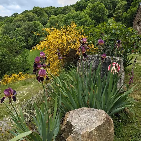 Petite Bergerie En Pierres Confort Tatil Evi *