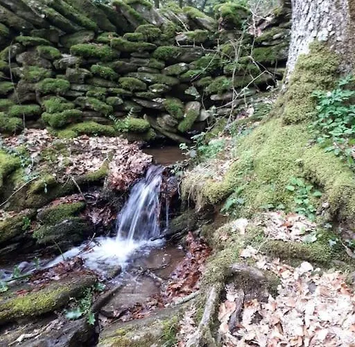 Petite Bergerie En Pierres Confort *