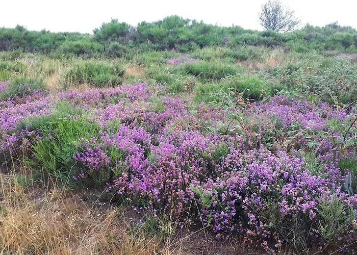 Petite Bergerie En Pierres Confort * Salles-Curan