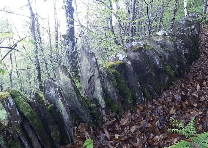 Vakantiehuis Petite Bergerie En Pierres Confort Salles-Curan