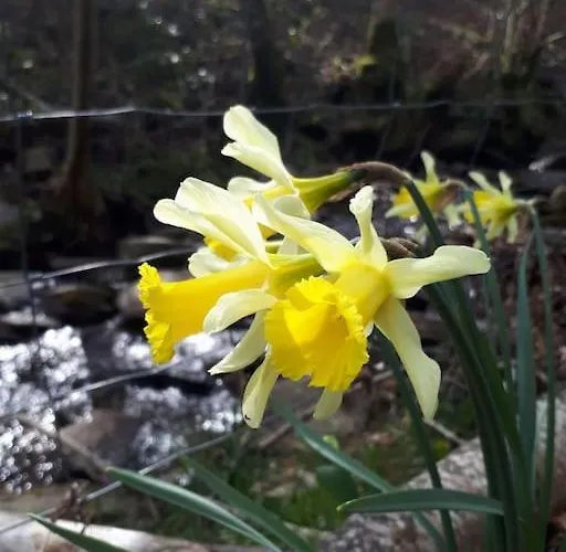 Petite Bergerie En Pierres Confort * Salles-Curan